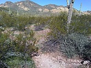 photo thumbnail #9