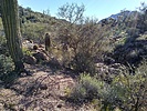 photo thumbnail #8