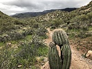 photo thumbnail #2