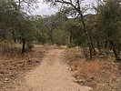 photo thumbnail #1