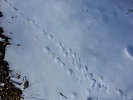 photo thumbnail #15