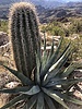 photo thumbnail #11