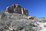 photo thumbnail #13