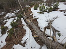 photo thumbnail #14