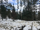 photo thumbnail #3