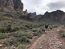 photo thumbnail #2