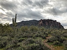 photo thumbnail #1