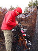 photo thumbnail #12