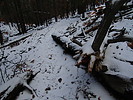 photo thumbnail #14