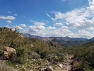 photo thumbnail #1