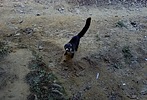 photo thumbnail #7