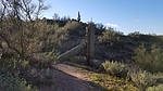 photo thumbnail #2
