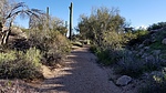 photo thumbnail #7