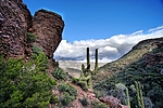 photo thumbnail #11
