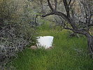 photo thumbnail #4