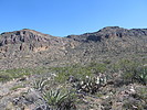 photo thumbnail #7