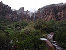 photo thumbnail #9