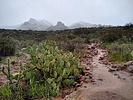 photo thumbnail #12