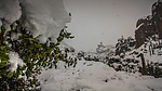 photo thumbnail #14