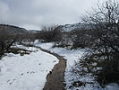 photo thumbnail #3