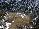 photo thumbnail #12