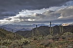 photo thumbnail #10