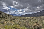 photo thumbnail #15