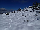 photo thumbnail #10