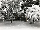 photo thumbnail #3