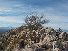 photo thumbnail #3