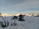 photo thumbnail #6