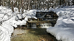 photo thumbnail #6