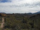 photo thumbnail #1