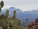 photo thumbnail #3