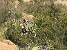 photo thumbnail #4