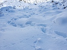 photo thumbnail #11