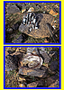 photo thumbnail #14