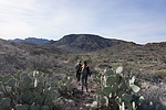 photo thumbnail #6