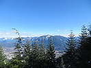 photo thumbnail #6