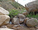 photo thumbnail #8