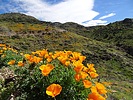 photo thumbnail #11