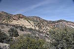 photo thumbnail #14