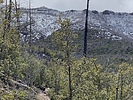 photo thumbnail #9