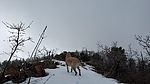 photo thumbnail #4