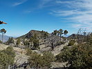 photo thumbnail #6
