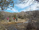 photo thumbnail #7