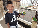 photo thumbnail #5