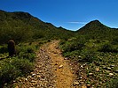 photo thumbnail #4