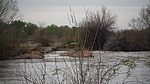photo thumbnail #14