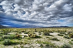 photo thumbnail #1
